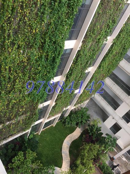 A'posh Bizhub (D27), Factory #133558072